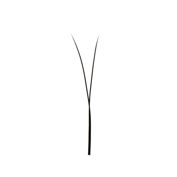 single tip yy lashes fan