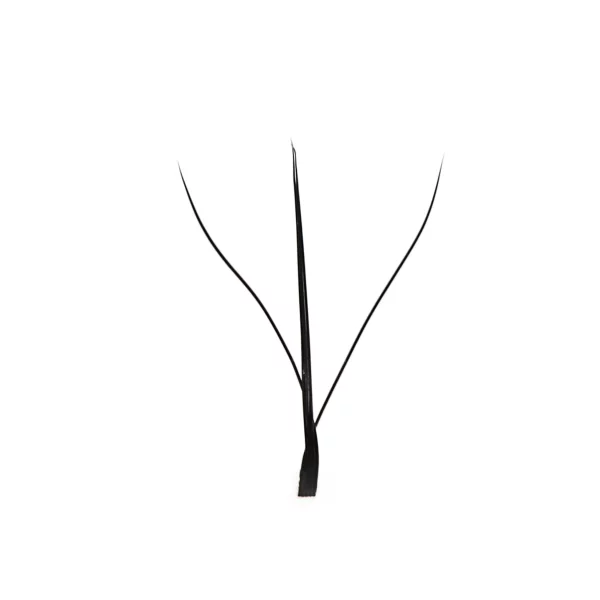 3D wispy w lashes fan