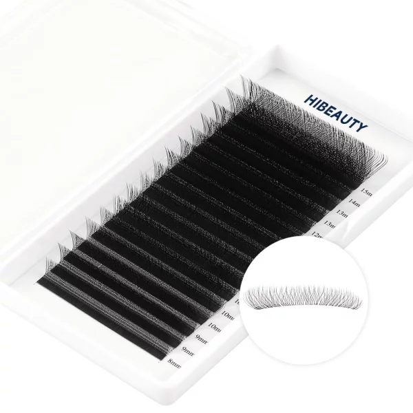 3D w lashes extension